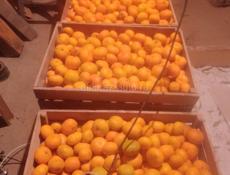 Мандарин перебран