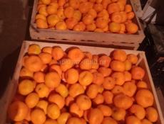 Мандарин перебран