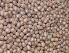 Продажа киви оптом