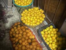 Лимоны 