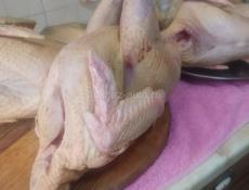 Индюки чищеные