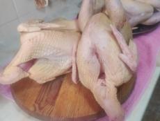 Индюки чищеные