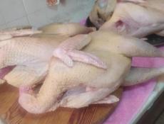 Индюки чищеные