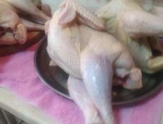 Индюки чищеные