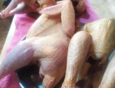 Индюки чищеные