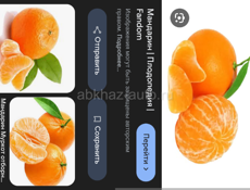 Ищем работу на сбор мандарин 