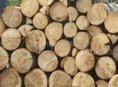 Дрова 