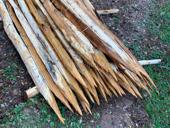 В продаже колышки 