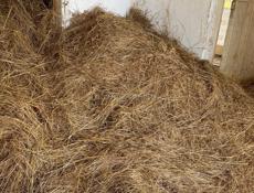 Продаётся сена 