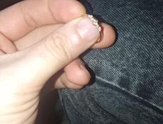 Золотое кольцо