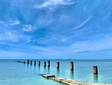 Домашнее Вино 🍷 и Чача