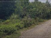 📌УЧАСТОК У ТРАССЫ ГУЛЬРИПШ С ВЕТХИМ СТРОЕНИЕМ 