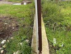 Цитрусовый