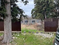 Цитрусовый