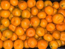 Куплю мандарины 