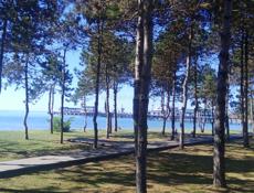 Возможно у кого-то есть мебель