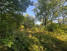 Срочно 50 соток гагра