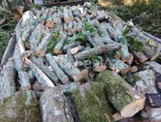 Дрова продаю срочно граб и чинар.