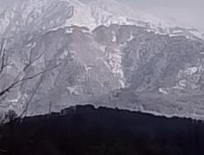 Куплю ствол 