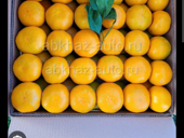 Ищем работу на сбор мандарин 