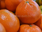 Продажа свежих мандарин 