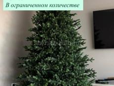 Елки в наличии 