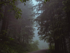 Сдам комнаты Сухум Рынок Вокзал шаговой доступности