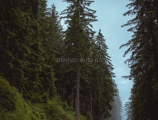 Сдам комнаты Сухум Рынок Вокзал шаговой доступности 