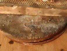 Продаються серёжки 585пробы 