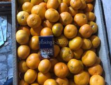 Продам мандарины 🍊 есть чуть больше одной тонны  