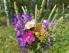 Куплю 2 комнатную квартиру СРОЧНО!!! до 1 млн, с большой лоджией