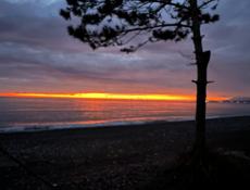 Сдаю в частном доме комнаты с общим с душем и туалетом 