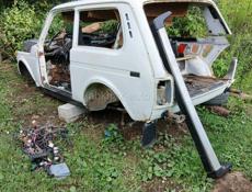 Запчасти на ниву что 