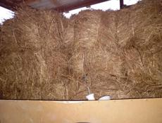 Продаётся сено