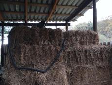 Продаётся сено