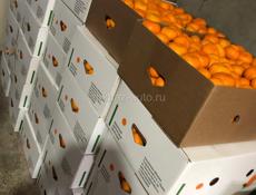 Готовый товар мандарин цена договорная +79407736833