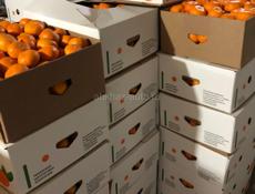 Готовый товар мандарин цена договорная +79407736833