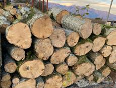 Продаю дрова