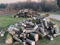 Продаю дрова