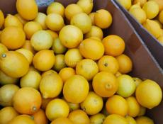 Продаю лимон около 120 кг по 50 р. все вместе 