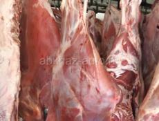 Продаю говядину