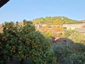 Продажа земельного участка 