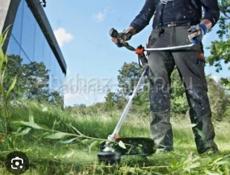 Чистим участук