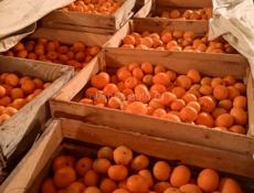 Продаю мандарины 🍊