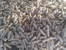 ПРОДАЕТСЯ БЕЛОЕ КУКУРУЗА ДОМАШНЯЯ ЧИЩЕННАЯ 