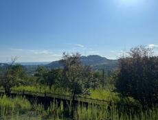 Продаю участок 18 соток с документами 