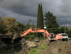 Услуги Бульдозера, экскаватора, тралл.