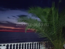 Купят не дорого газовую плиту