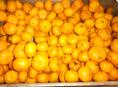 На Сок мандарины по 20 р