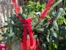 Подарочные коробки, новогодние композиции.